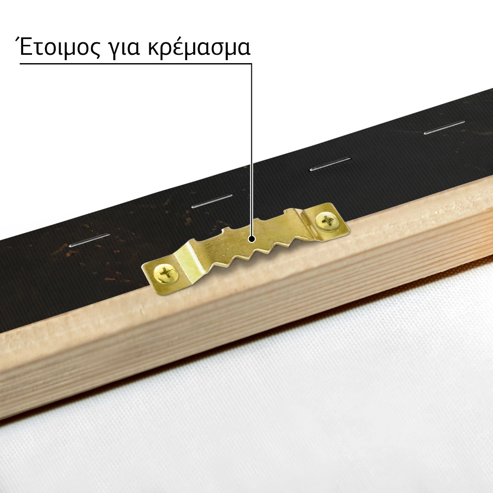 Πίνακας σε Καμβά VINTAGE DARK ACADEMIA PEARS