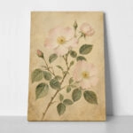 Πίνακας σε Καμβά VINTAGE DARK ACADEMIA PLANT 12