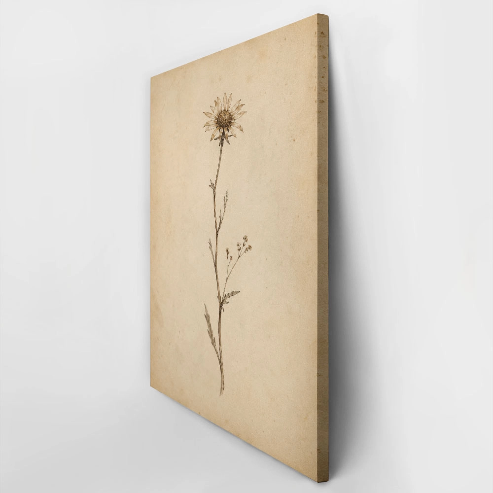 Πίνακας σε Καμβά VINTAGE DARK ACADEMIA PLANT 15