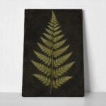 Πίνακας σε Καμβά VINTAGE DARK ACADEMIA PLANT 17