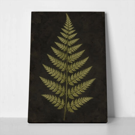 Πίνακας σε Καμβά VINTAGE DARK ACADEMIA PLANT 17 - 