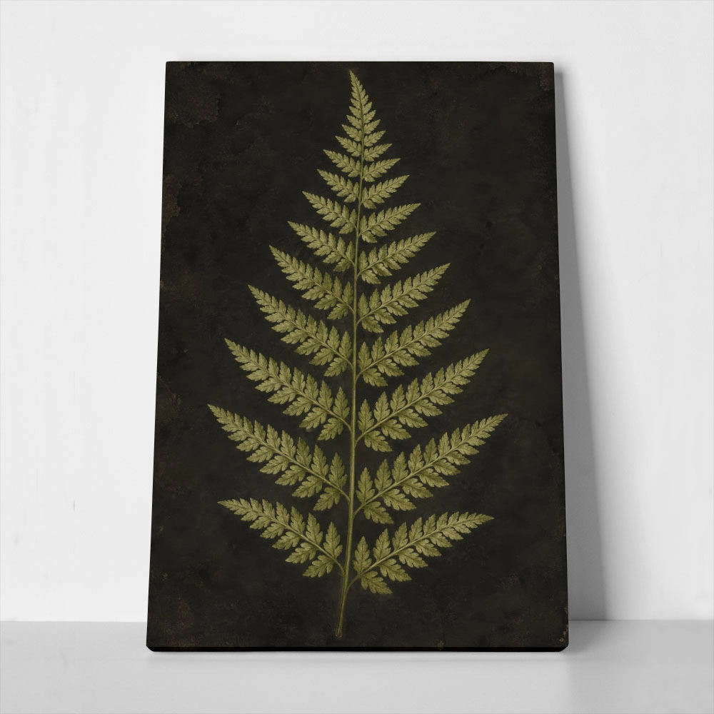 Πίνακας σε Καμβά VINTAGE DARK ACADEMIA PLANT 17