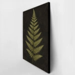 Πίνακας σε Καμβά VINTAGE DARK ACADEMIA PLANT 17