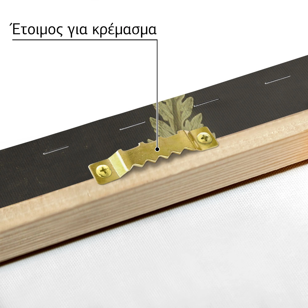 Πίνακας σε Καμβά VINTAGE DARK ACADEMIA PLANT 17