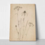 Πίνακας σε Καμβά VINTAGE DARK ACADEMIA PLANT 19