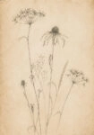 Πίνακας σε Καμβά VINTAGE DARK ACADEMIA PLANT 19
