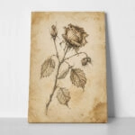 Πίνακας σε Καμβά VINTAGE DARK ACADEMIA PLANT 21