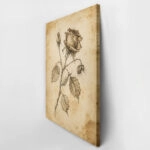 Πίνακας σε Καμβά VINTAGE DARK ACADEMIA PLANT 21