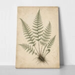 Πίνακας σε Καμβά VINTAGE DARK ACADEMIA PLANT 22