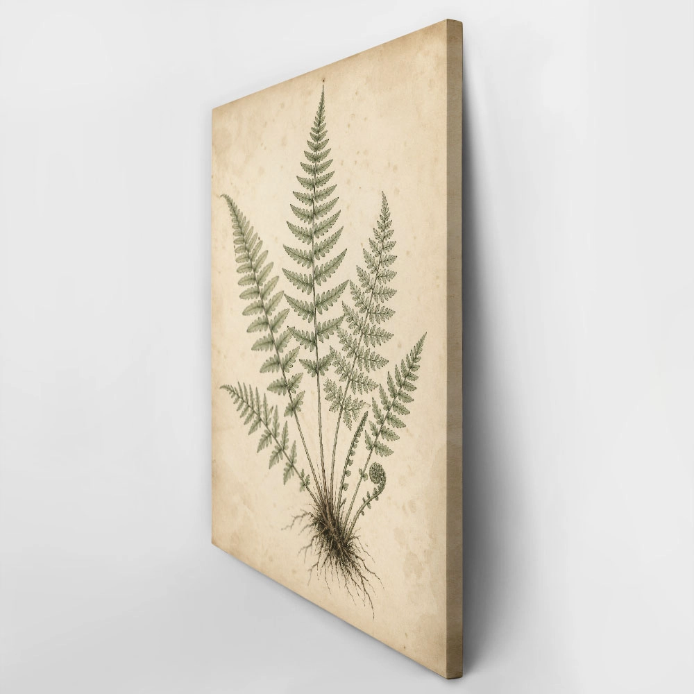 Πίνακας σε Καμβά VINTAGE DARK ACADEMIA PLANT 22