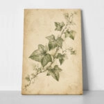 Πίνακας σε Καμβά VINTAGE DARK ACADEMIA PLANT 24