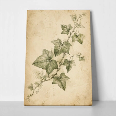 Πίνακας σε Καμβά VINTAGE DARK ACADEMIA PLANT 24 - Vintage