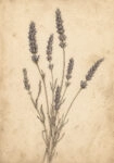 Πίνακας σε Καμβά VINTAGE DARK ACADEMIA PLANT 25