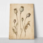 Πίνακας σε Καμβά VINTAGE DARK ACADEMIA PLANT 26