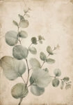 Πίνακας σε Καμβά VINTAGE DARK ACADEMIA PLANT 27