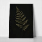 Πίνακας σε Καμβά VINTAGE DARK ACADEMIA PLANT 28