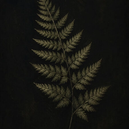 Πίνακας σε Καμβά VINTAGE DARK ACADEMIA PLANT 28 - Vintage Sticky 5