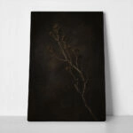Πίνακας σε Καμβά VINTAGE DARK ACADEMIA PLANT 29
