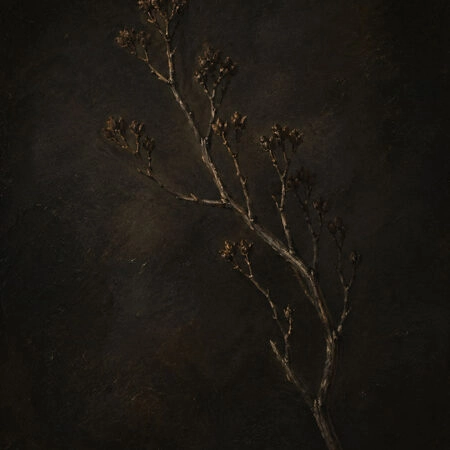 Πίνακας σε Καμβά VINTAGE DARK ACADEMIA PLANT 29 - Vintage Sticky 5