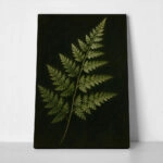 Πίνακας σε Καμβά VINTAGE DARK ACADEMIA PLANT 30