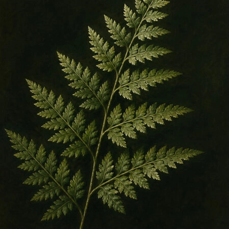 Πίνακας σε Καμβά VINTAGE DARK ACADEMIA PLANT 30 - Vintage Sticky 5