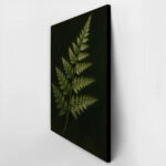 Πίνακας σε Καμβά VINTAGE DARK ACADEMIA PLANT 30