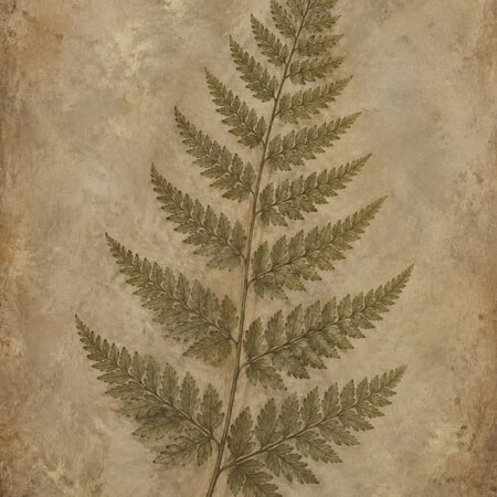 Πίνακας σε Καμβά VINTAGE DARK ACADEMIA PLANT 31 - Vintage Sticky 5