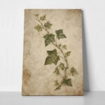 Πίνακας σε Καμβά VINTAGE DARK ACADEMIA PLANT 33