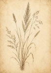 Πίνακας σε Καμβά VINTAGE DARK ACADEMIA PLANT 34