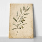 Πίνακας σε Καμβά VINTAGE DARK ACADEMIA PLANT 35