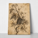 Πίνακας σε Καμβά VINTAGE DARK ACADEMIA PLANT 5