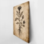 Πίνακας σε Καμβά VINTAGE DARK ACADEMIA PLANT