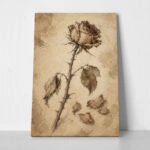 Πίνακας σε Καμβά VINTAGE DARK ACADEMIA ROSE