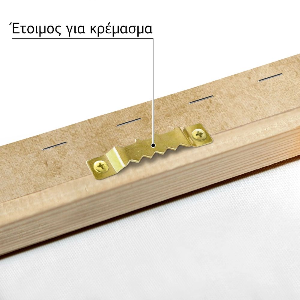 Πίνακας σε Καμβά VINTAGE DARK ACADEMIA SPIDER