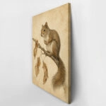 Πίνακας σε Καμβά VINTAGE DARK ACADEMIA SQUIRREL