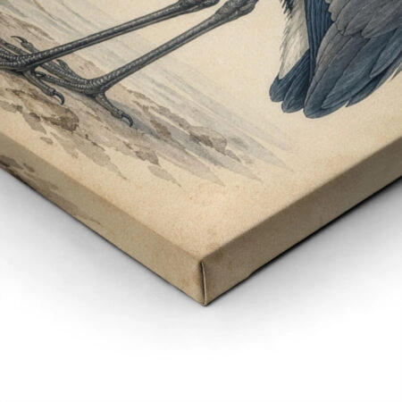 VINTAGE-DARK-ACADEMIA-STORK