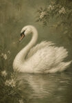 Πίνακας σε Καμβά VINTAGE DARK ACADEMIA SWAN 4