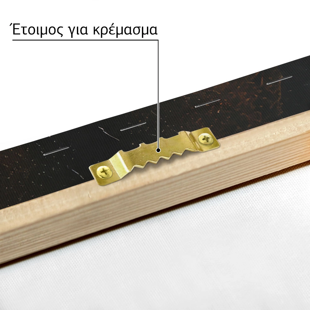 Πίνακας σε Καμβά VINTAGE DARK ACADEMIA VIOLIN