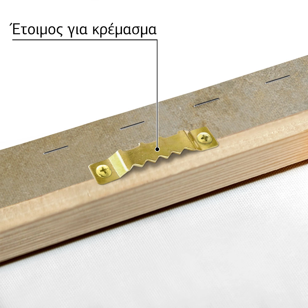 Πίνακας σε Καμβά VINTAGE DARK ACADEMIA WOMAN 5