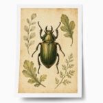 Poster VINTAGE DARK ACADEMIA BEETLE