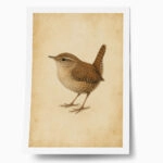 Poster VINTAGE DARK ACADEMIA BIRD 10