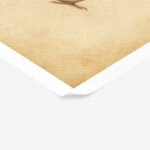 Poster VINTAGE DARK ACADEMIA BIRD 10
