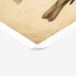 Poster VINTAGE DARK ACADEMIA BIRD 11