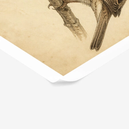 Poster VINTAGE DARK ACADEMIA BIRD 12 -  Sticky 1