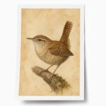 Poster VINTAGE DARK ACADEMIA BIRD 13