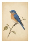 Poster VINTAGE DARK ACADEMIA BIRD 3