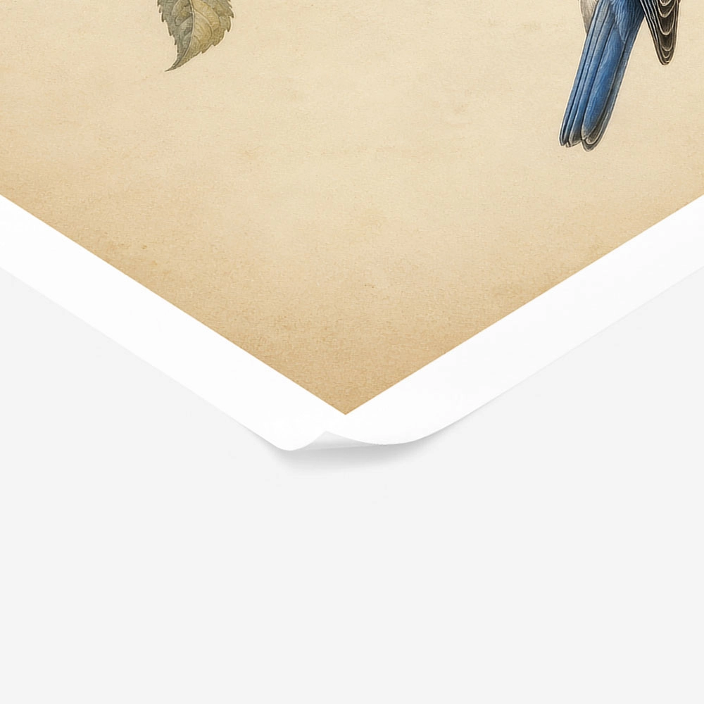 Poster VINTAGE DARK ACADEMIA BIRD 3
