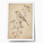 Poster VINTAGE DARK ACADEMIA BIRD 7