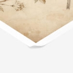 Poster VINTAGE DARK ACADEMIA BIRD 7