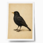 Poster VINTAGE DARK ACADEMIA BIRD 8